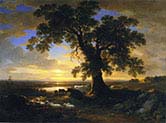 The Solitary Oak